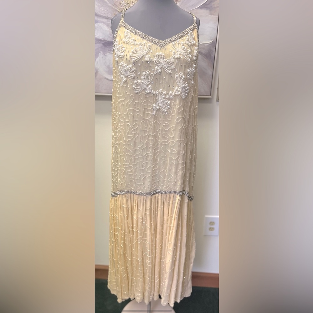 Absolutely Stunning & Rare Masterpiece Vintage Ganut Flapper dress & coat SZ-3x